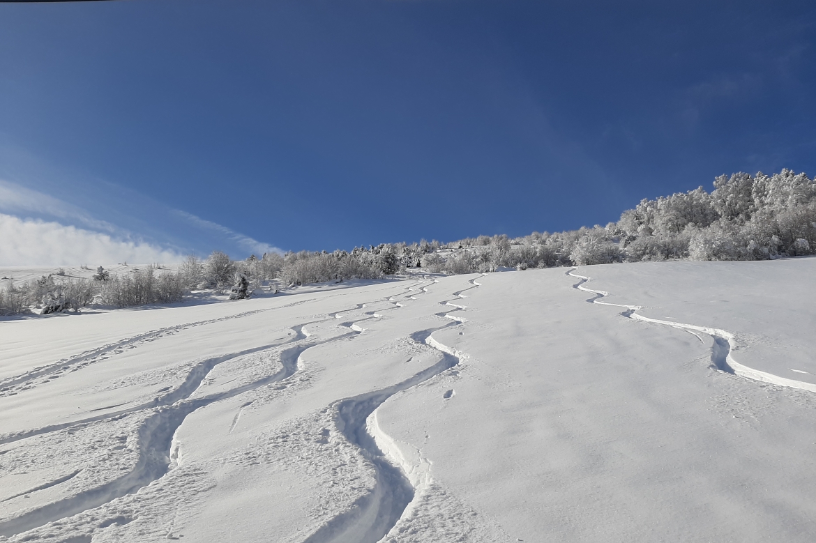 SKI DE RANDONNEE